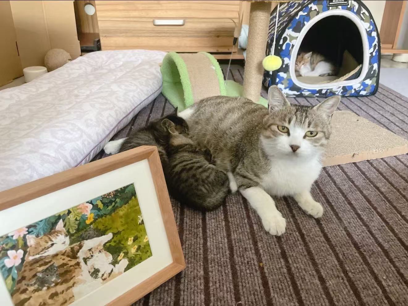 Pet portrait commission detail